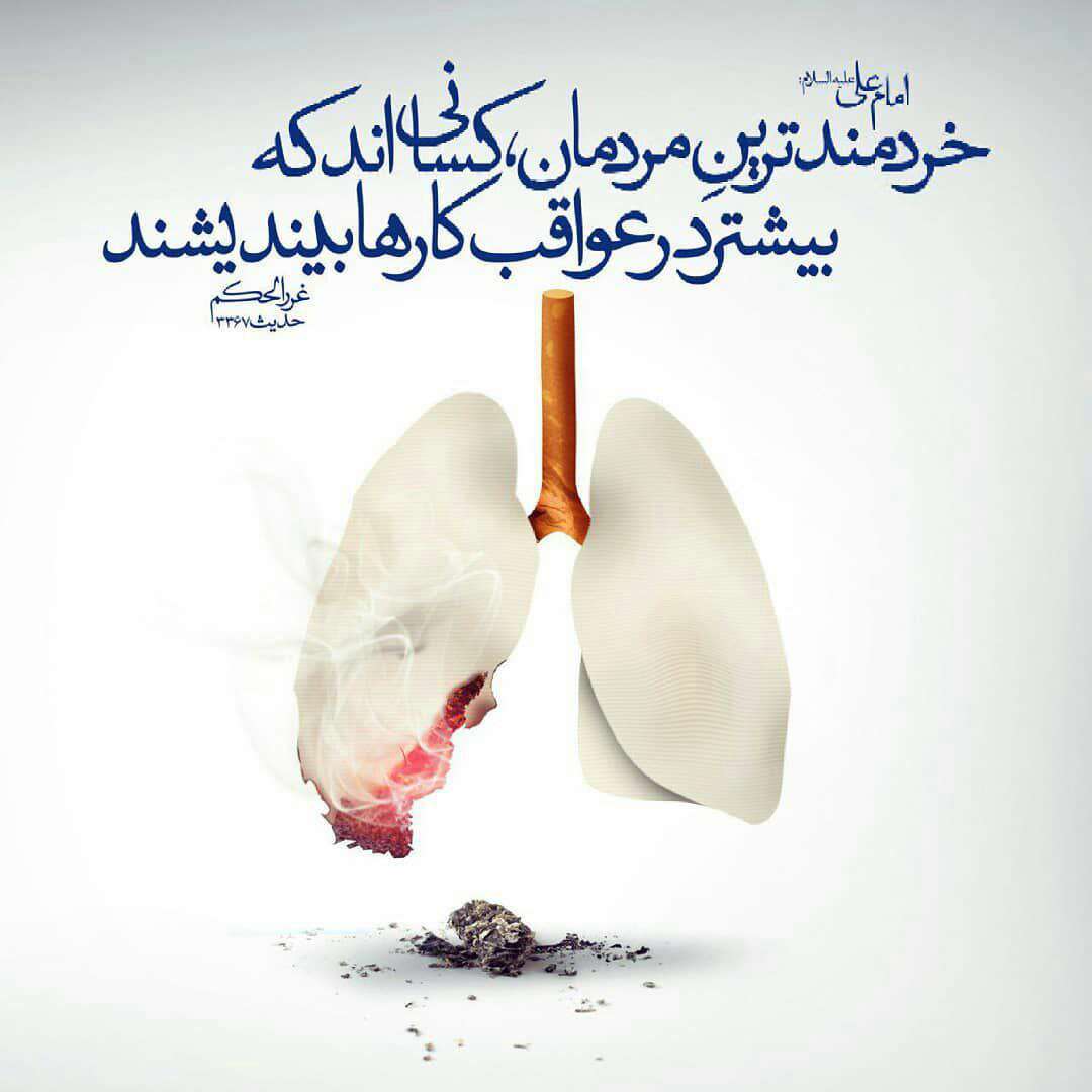 حدیثی از امام علی در مورد خردمند
